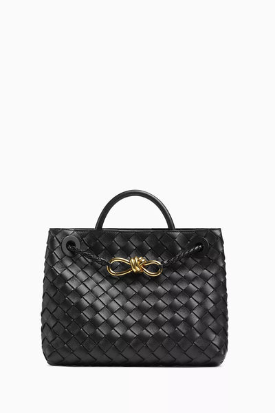 Bottega Veneta Andiamo Top Handle Bag