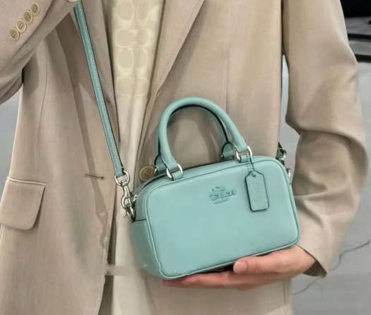Coach Satchel Crossbody Bag Genuine Leather Small Square Handbag
