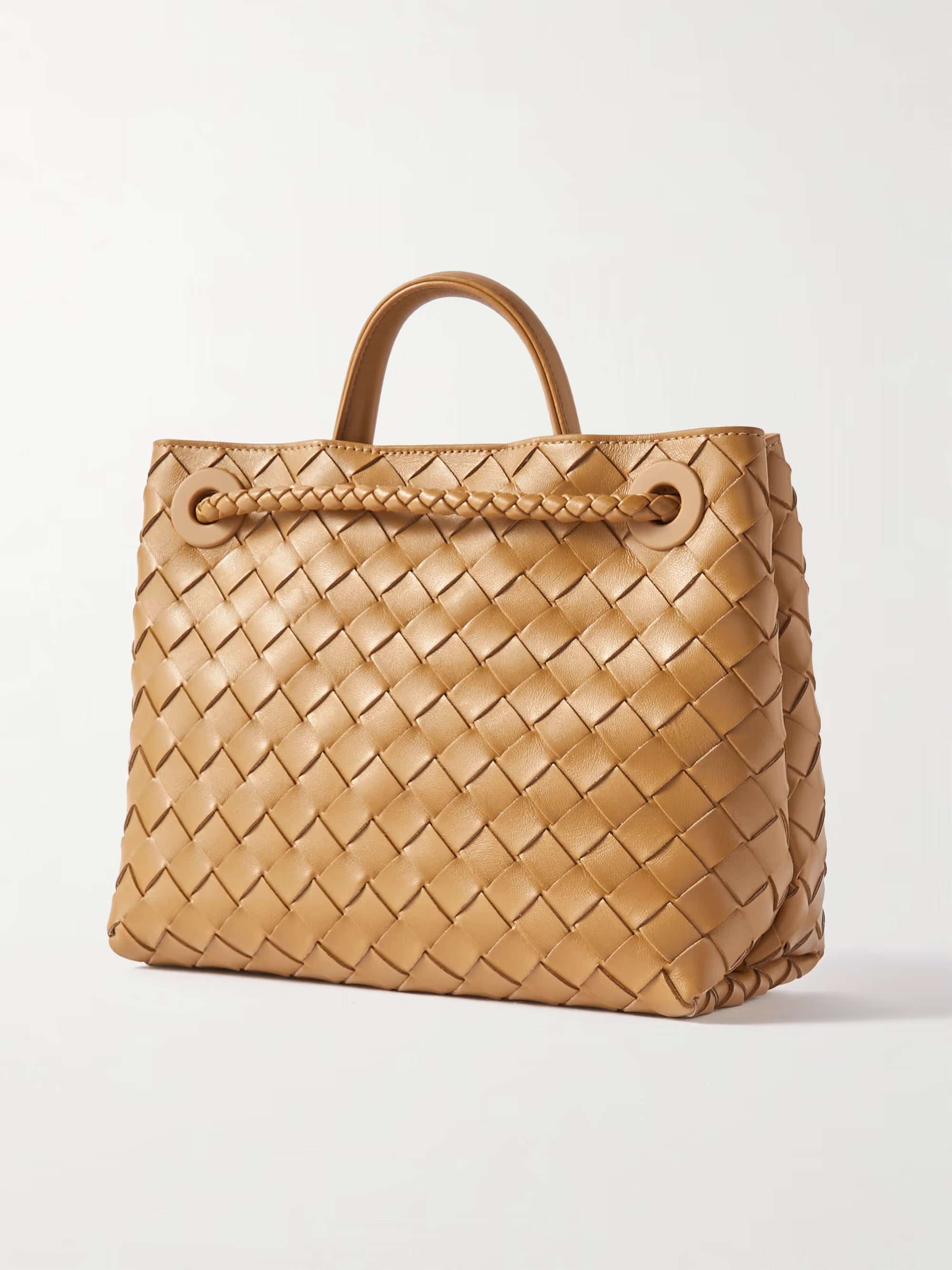 Bottega Veneta Andiamo Top Handle Bag