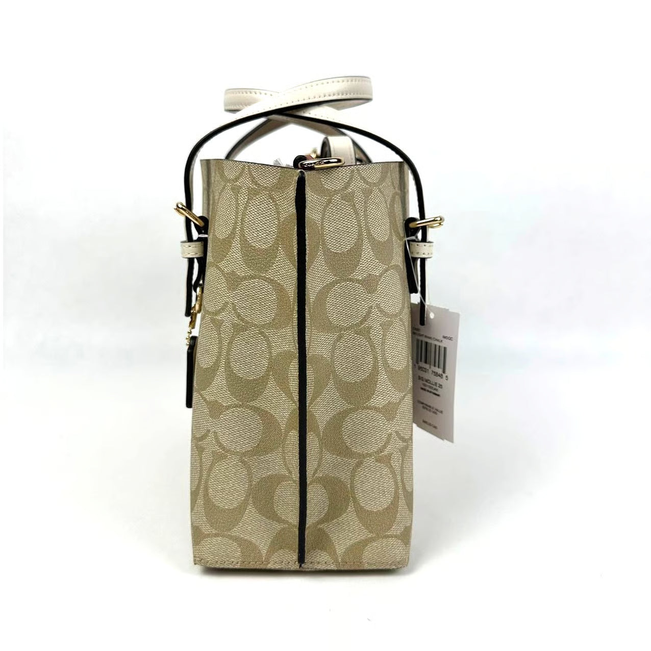 Coach Mollie Tote Bag In Signature Canvas