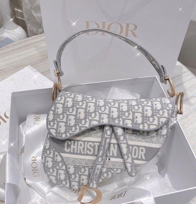 Christian Dior Oblique Embroidered Saddle Bag
