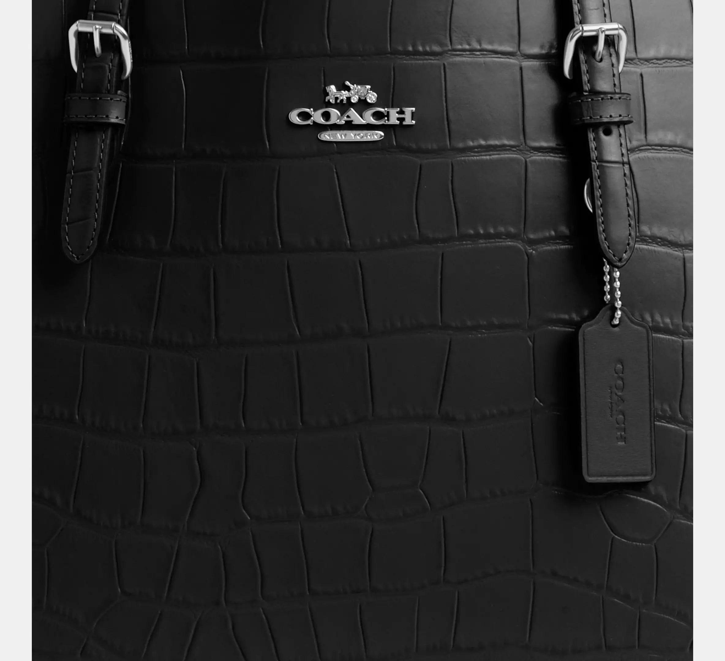 Coach Mollie Tote Bag