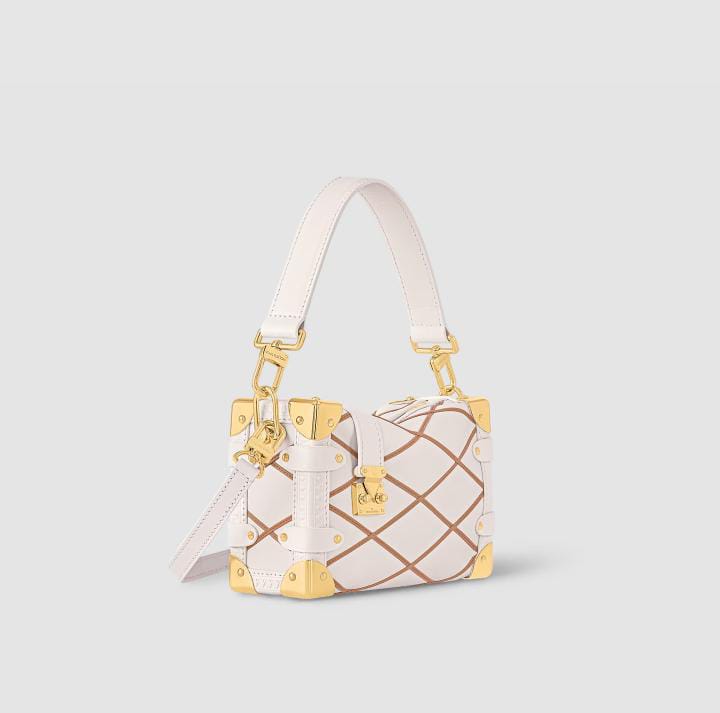 LOUIS VUITTON Side Trunk PM