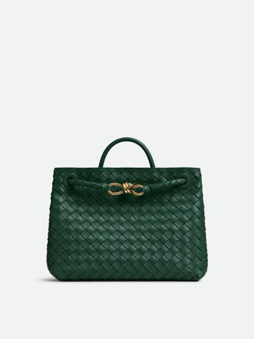 Bottega Veneta Andiamo Top Handle Bag