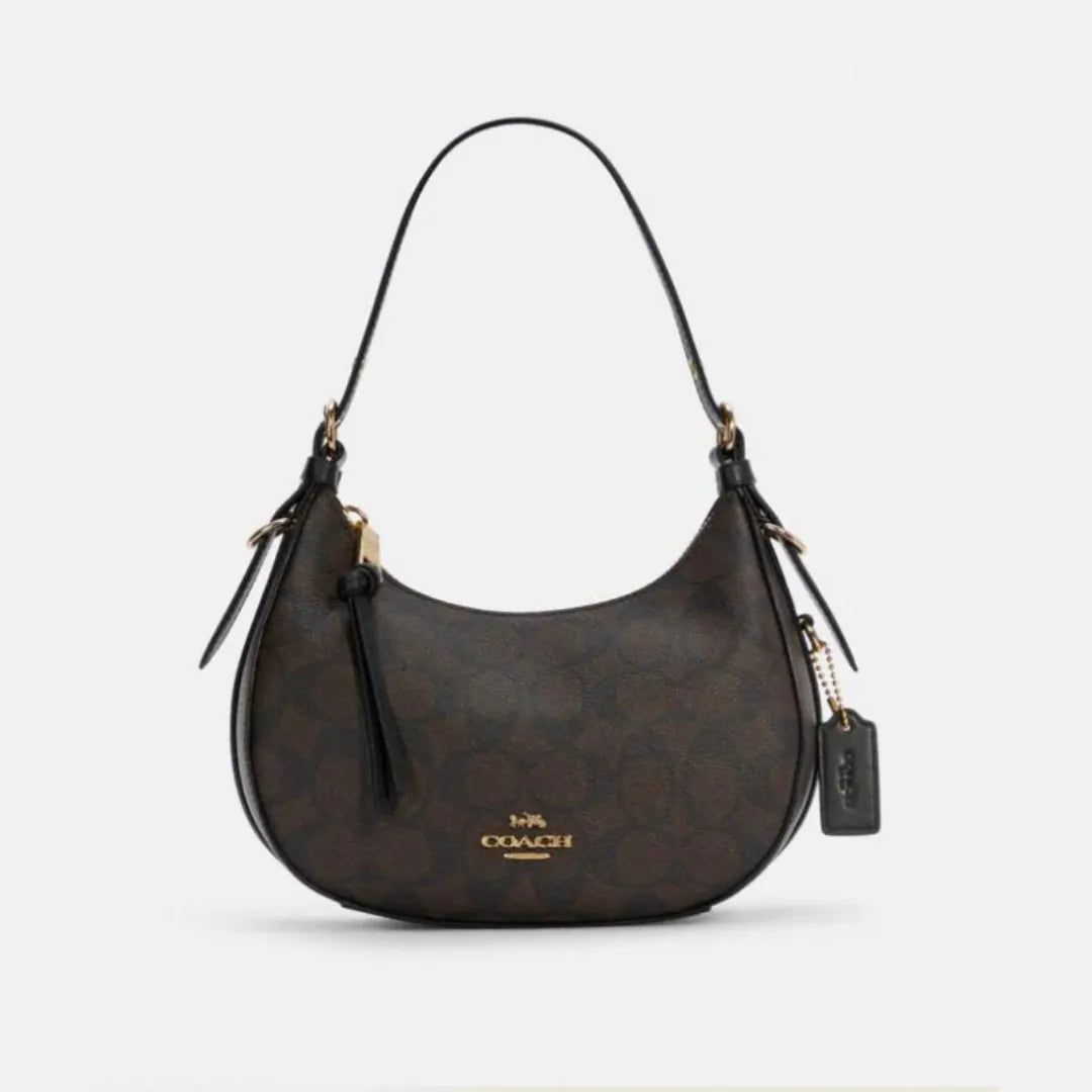 Coach Kleo Hobo In Signature Canvas