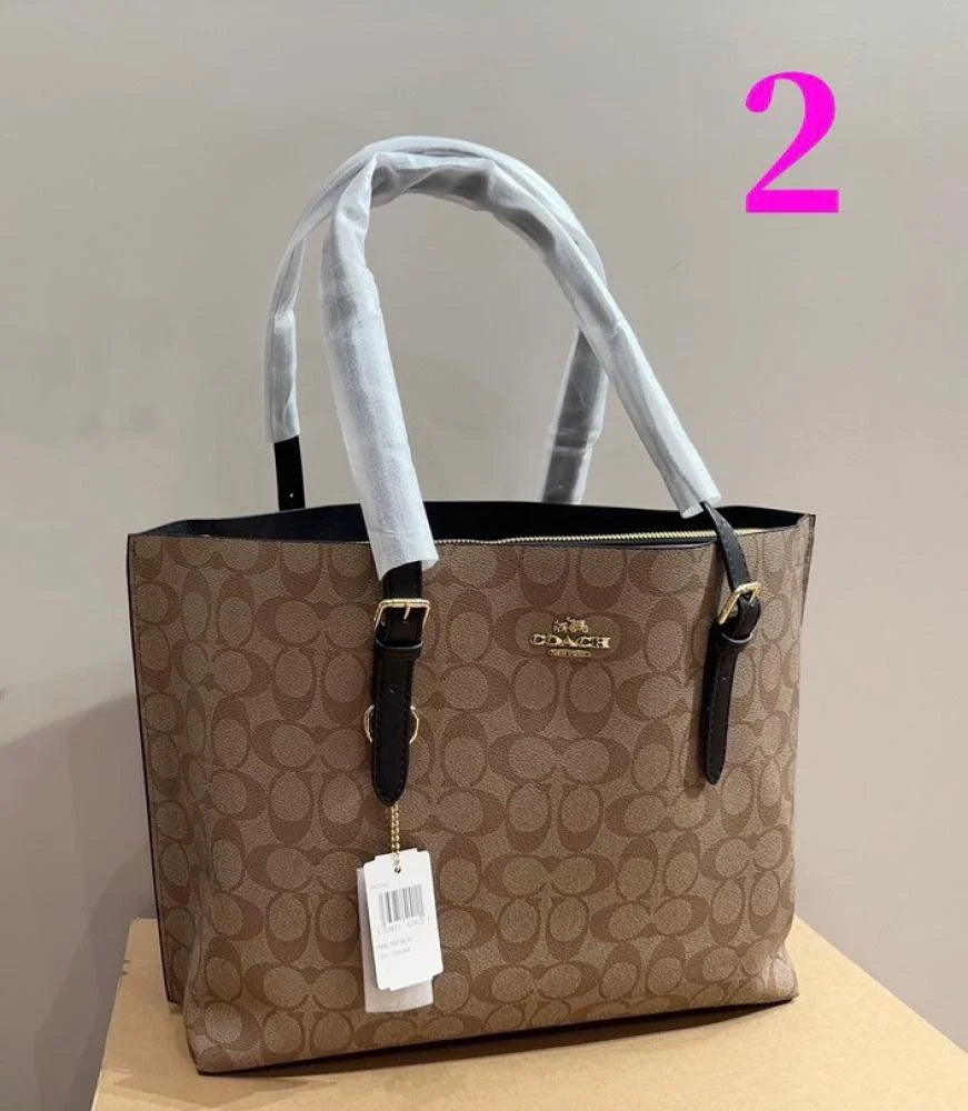 Coach Mollie Tote Bag In Signature Canvas