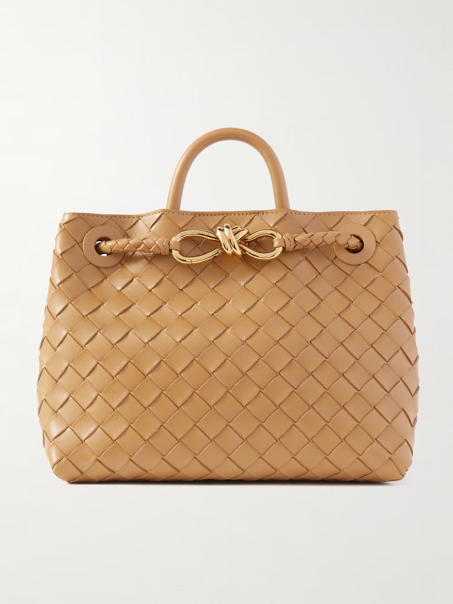 Bottega Veneta Andiamo Top Handle Bag
