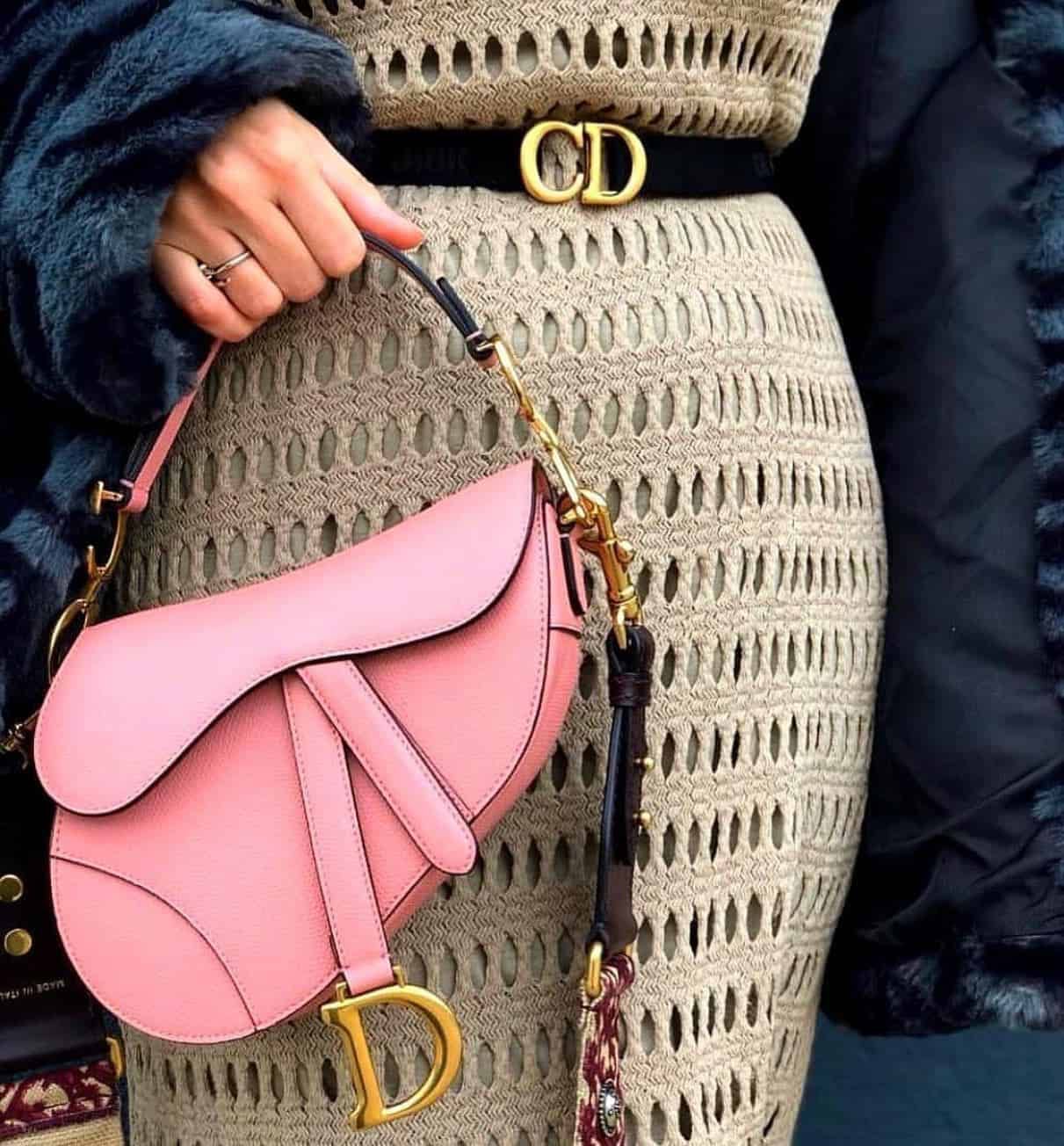 Christian Dior Saddle Bag