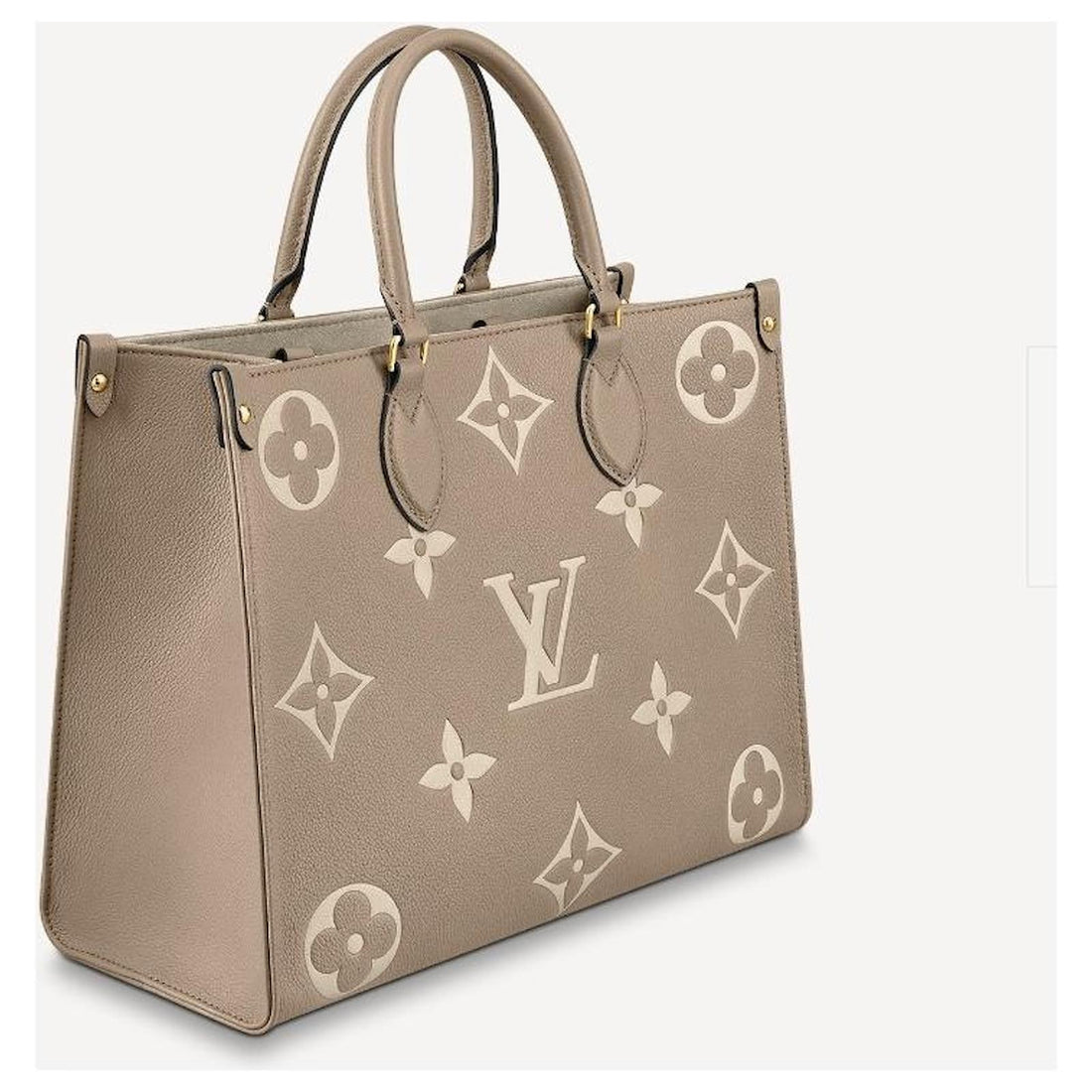Louis Vuitton LV Onthego MM