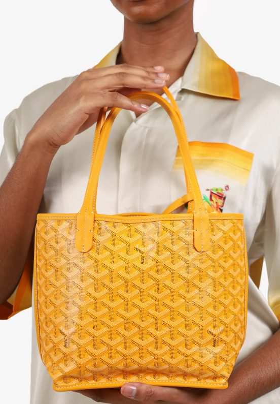 Goyard Anjou Mini