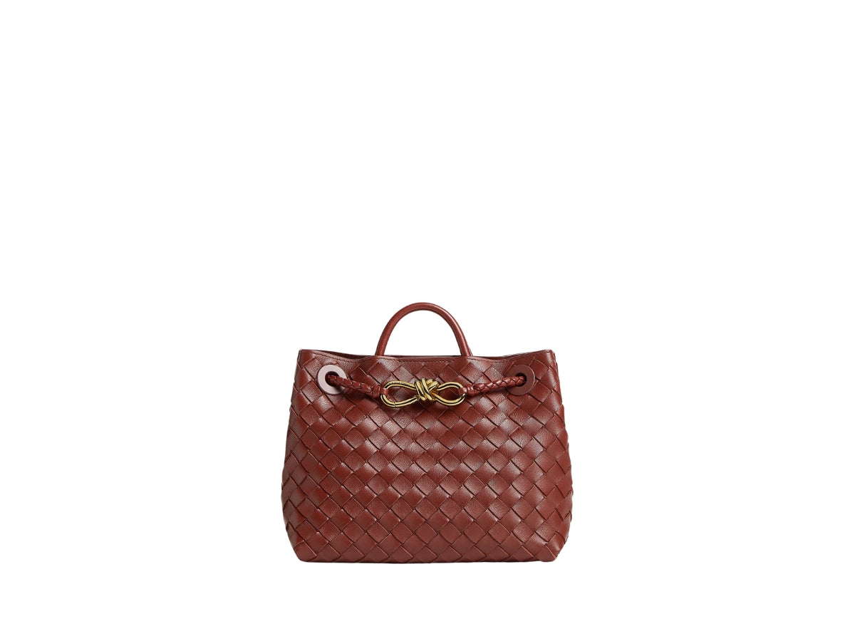 Bottega Veneta Small Andiamo