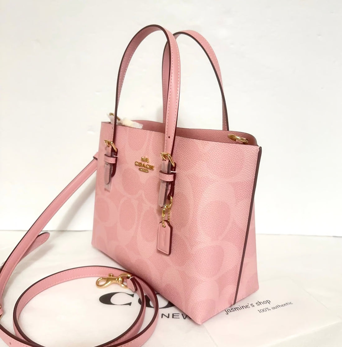 COACH Mollie Tote Bag In Signature Canvas