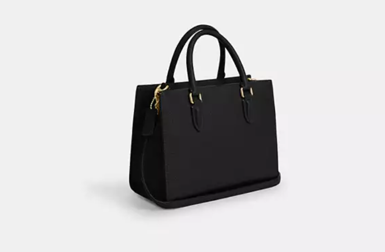 Coach Maggie Small Tote Bag