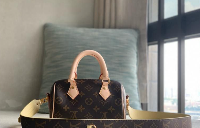 Louis Vuitton SPEEDY 18 LV&I Olympic