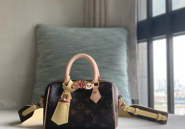Louis Vuitton SPEEDY 18 LV&I Olympic