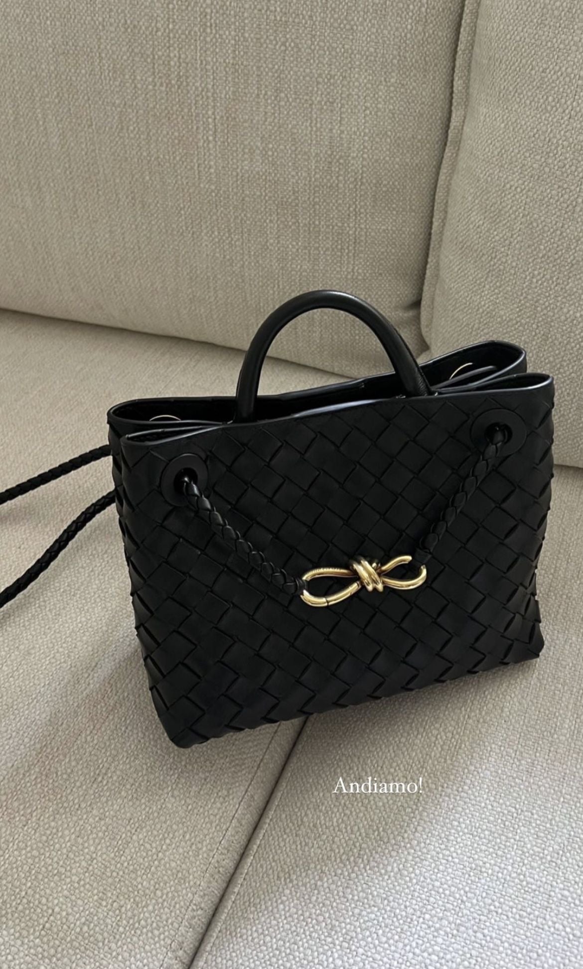 Bottega Veneta Small Andiamo
