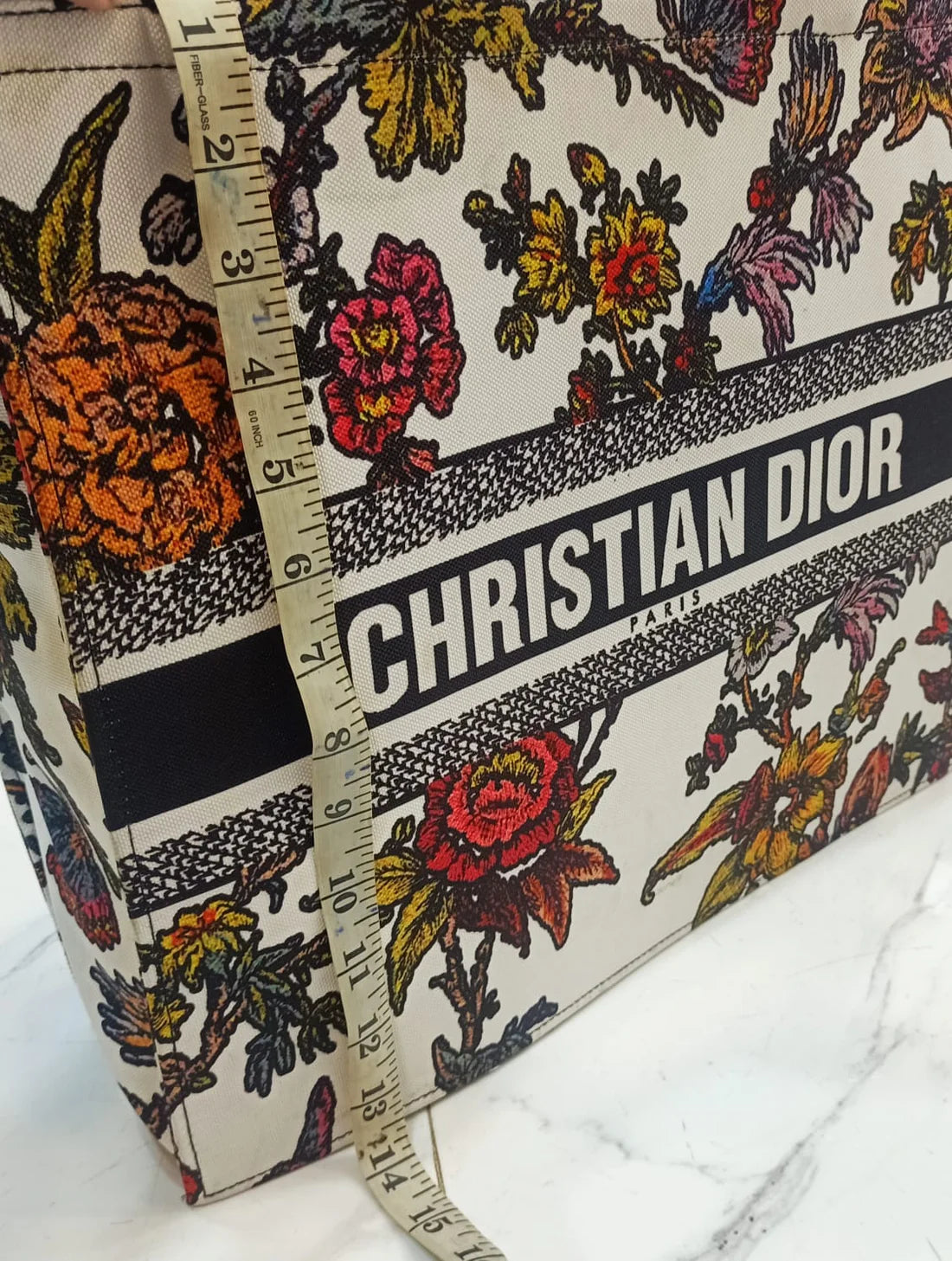 Christian Dior Book Tote Women Bag