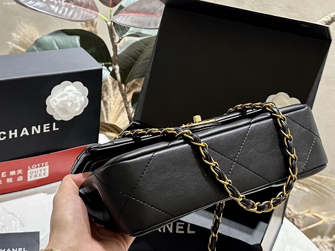 Chanel 19 Double Flap Bag in Shiny Lambskin with Gold & Ruthenium Hardware
