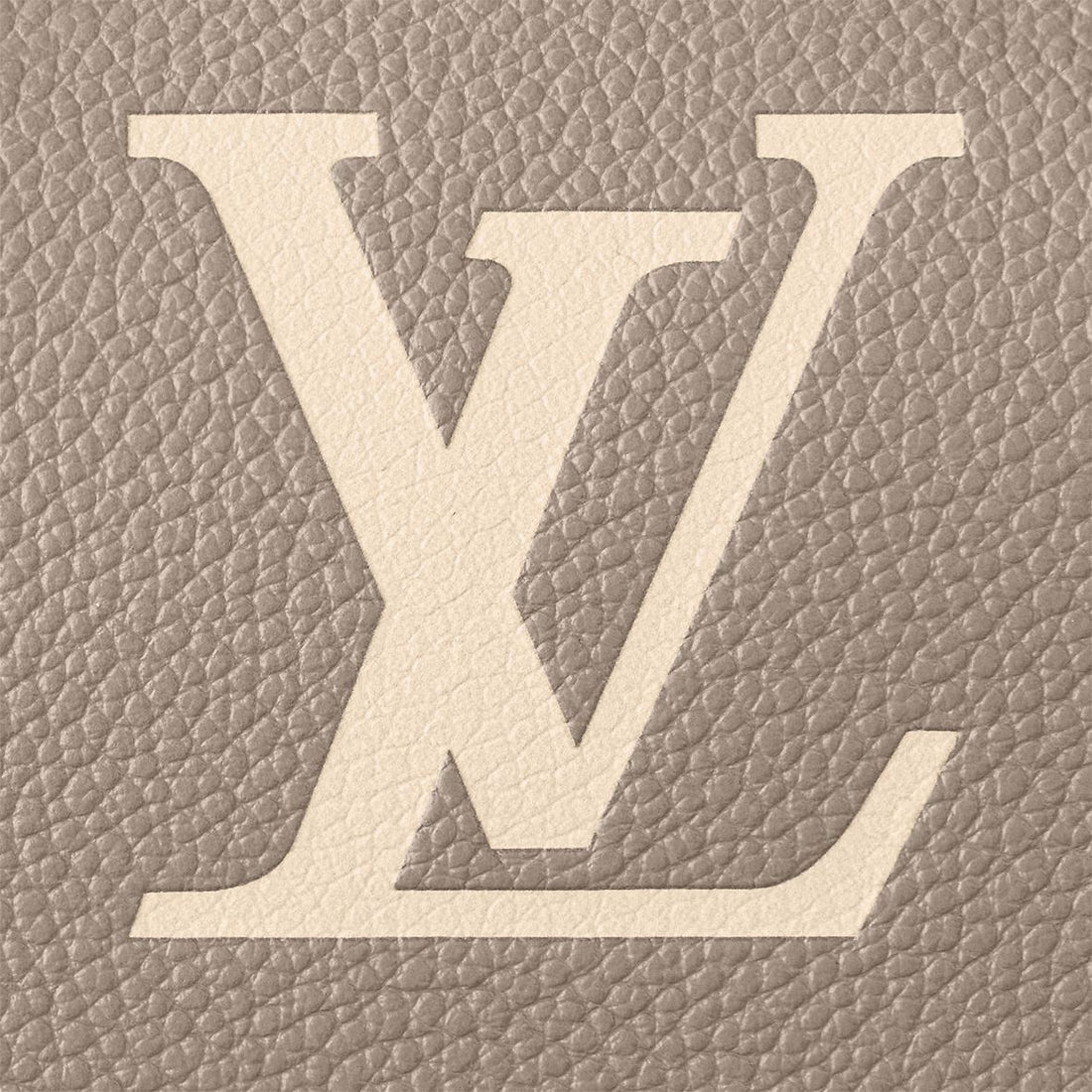 LV Speedy Bandoulière 20 Bag
