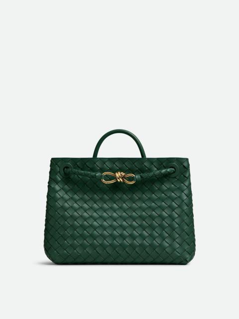 Bottega Veneta Andiamo Top Handle Bag
