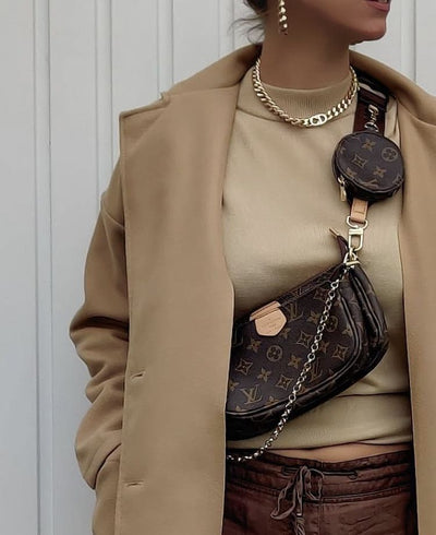 LOUIS VUITTON Multi Pochette Accessoires hover