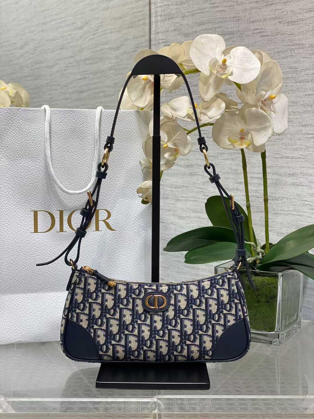 DIOR 30 Montaigne Wanderlust Mini Bag