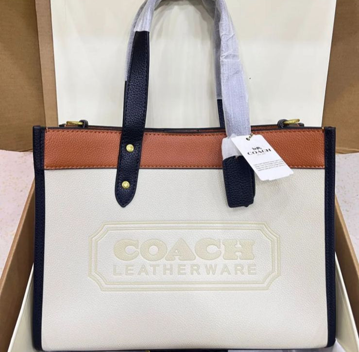 Coach Field Tote 22 in Colorblock displayed, showcasing its luxurious design and signature Coach badge.